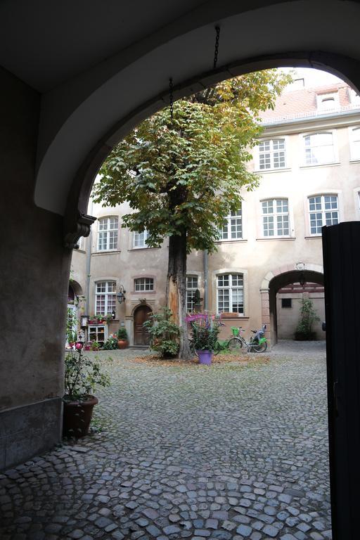 Les Dentelles - Appartement Meuble Design Petite France Strasbourg Kültér fotó